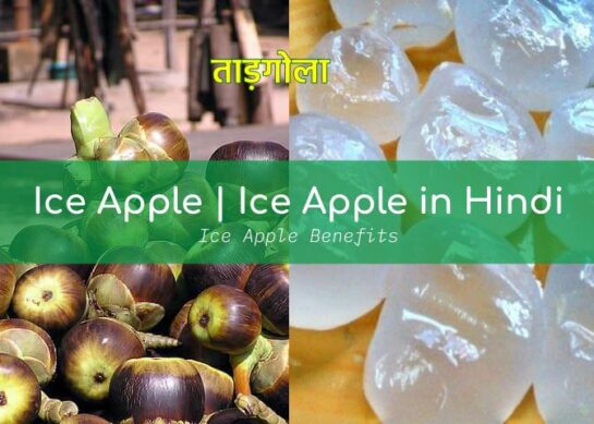 Ice Apple | Ice Apple in Hindi | Ice Apple Benefits