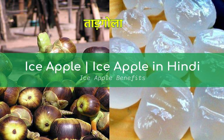 Ice Apple | Ice Apple in Hindi | Ice Apple Benefits