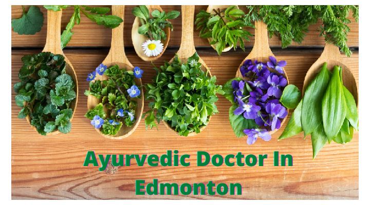 Ayurvedic Doctor In Edmonton | List of Best Ayurvedic Doctor Edmonton