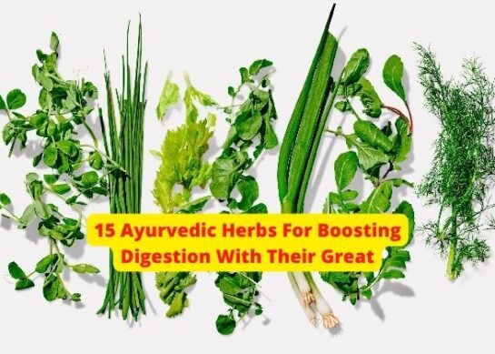 15 Ayurvedic Herbs For Boosting Digestion With Their Great