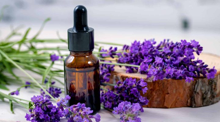 How To Use Lavender Essential Oil For Beauty & Aromatherapy