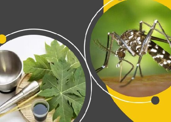 Dengue Ayurvedic Treatment in India