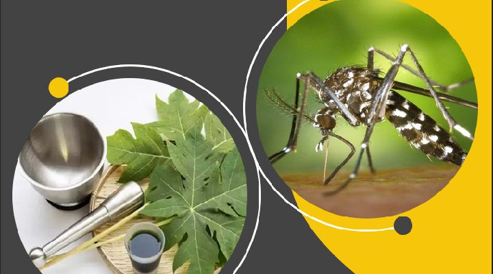 Dengue Ayurvedic Treatment in India