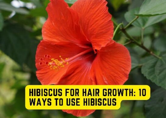 Hibiscus For Hair Growth: 10 Ways To Use Hibiscus