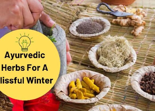 Ayurvedic Herbs List With Pictures For A Blissful Winter