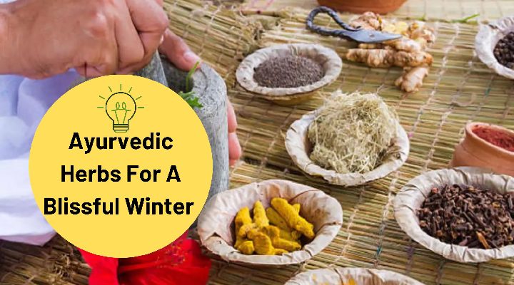 Ayurvedic Herbs List With Pictures For A Blissful Winter