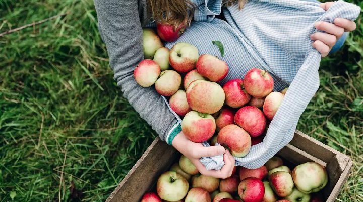 Nutrition for Apple: Unveiling the Health Benefits of this Mighty Fruit