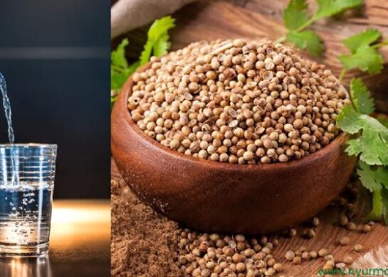 Benefits of Coriander Seed Water: A Natural Health Elixir